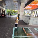 지에스(GS)25 초월대쌍령점 | 아이와 함께한 가을 경복궁 나들이, 완벽한 날씨와 종로 주차 꿀팁 (그랑서울 이용 후기)