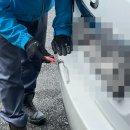 케이완자동차판금도색출장 | 자동차 흠집 해결! 출장 판금도색 가성비 후기