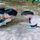 YWCA 어린이집 이미지