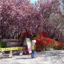 완산-5 이미지