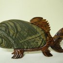 남한강 물고기 이미지