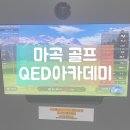 아카데미QED | [서울/발산역] 마곡 골프 QED 아카데미 _ 아이언 단기마스터 레슨 체험 후기