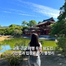 첨단시내버스구내식당 | 교토 우지 반나절 여행 뵤도인 가는 법과 입장료 후기 총정리