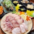 서울횟집 | 서울 용두동횟집 심도횟집 방어회 후기｜제기동 맛집 찾는다면