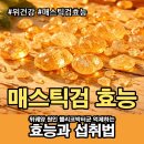 팜프렌즈 | 매스틱 검, 위궤양 원인 헬리코박터균 억제하는 효능과 섭취법