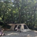 용인힐링캠핑장 | 용인 힐링캠핑장 | 위생이 아쉬웠던 캠핑장 물놀이캠핑장| 키즈캠핑장 | 원삼메밀집