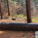 본아미강남어린이집 이미지