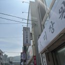바디지음 청연