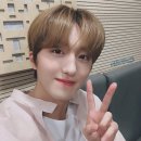고양이라디오 Daum카페