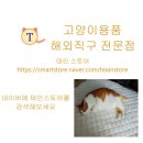 태환카센타 이미지