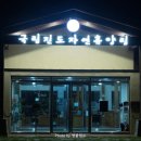 진도 국립진도자연휴양림 / 진도항 근처 가성비 숙소 : 숲속의집 붉가시나무 후기