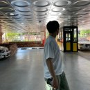 오락팡팡 이미지