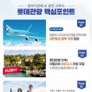 엘티투어 이미지