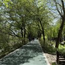 양재최의원 이미지