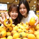 롯데마트 서초점 이미지