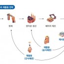 동아밧데리 이미지
