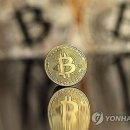 비트코인 이미지