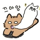 명륜쭈꾸미