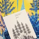 아트센터로 | 정영환 개인전 후기 Liminal Forest 어디에도 없는 숲을 만나러 가나아트센터로!