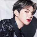 마젠타 이미지