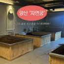 하루효소편백 | 양산 물금 '자연궁' 편백효소찜질 후기 1+1 35,000원! 가성비 힐링데이트 추천ㅣ주차, 샤워, 효소찜질 효능