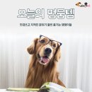 멍뭉 이미지