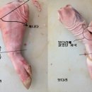 요즘배달 Daum카페