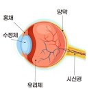 레이크동물의료센터 이미지