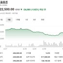 신영농장 | 코스피 주가현황 주가시세 주가분석 요약 (2026년 5월 4일)-(4)