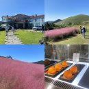 새빌 | 제주 대형 카페 디저트 : 새빌 카페 [핑크뮬리]
