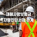 진성행정사사무소 이미지