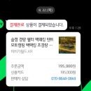 비비가월드 :: 코트텐트 블랙 내돈내산 후기