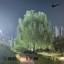 2024, 9월(1) 9월이 왔는데 여름이에요 Σ(●ꉺ▱ꉺ●)