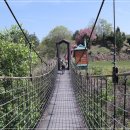 강변의 수채화 이미지