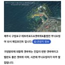 6월.(2) 요란하지 않은 일상의 조각들.