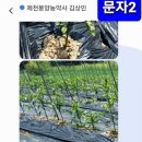 봉양농약사