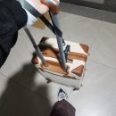 예은농장 | 친구랑 3박 4일 뚜벅이 겨울 제주여행 중 1일차(Feat. 옌니와)