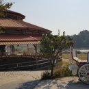 김제지평선홀스랜드 이미지