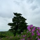 좋은아침 이미지