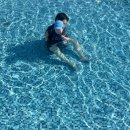 힐튼 경주 실외수영장 이미지