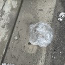 하이메이트