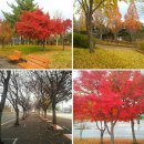 성서운동장 이미지