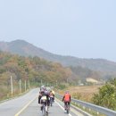 죽정초 이미지
