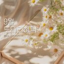 다이아테라피