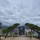 중앙농장 | 부산 기장 아이와 가볼 만한 곳, 치유농장 온담 아이와 두 번째 방문 후기