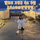 제니뷰 | 강화도 오션뷰 카라반 추천｜제니도 다녀간 오우스카라반 내돈내산 후기💙