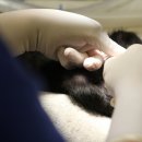 미소동물의료센터 이미지