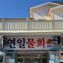 연일 | 포항 연일물회-옹가지물회 후기