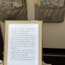 [호주/멜버른] 젯스타 1시간 환승 성공, 스카이 버스, 야라강 Riverland Bar, 콜스 마트