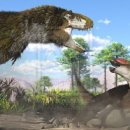 서부 할아버지 이미지